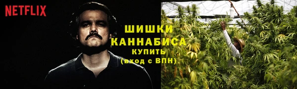 СК Арсеньев