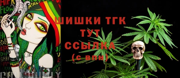 СК Арсеньев