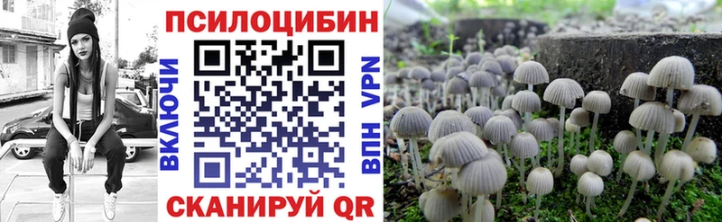 Псилоцибиновые грибы прущие грибы  даркнет сайт  Болгар 